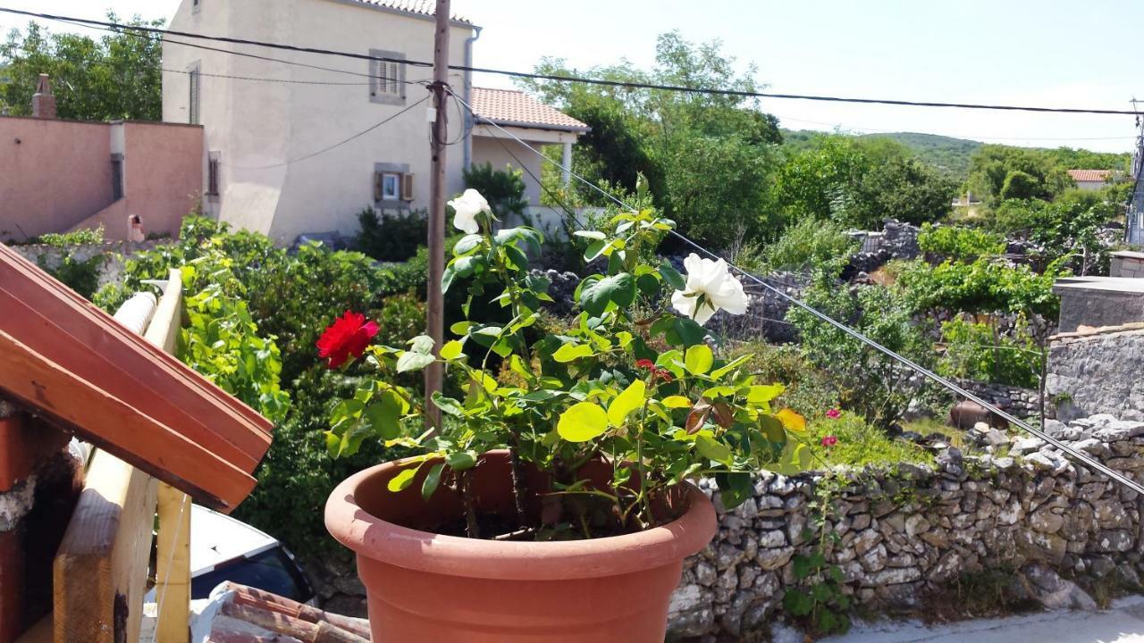 Apartments Princip Orlec Dış mekan fotoğraf